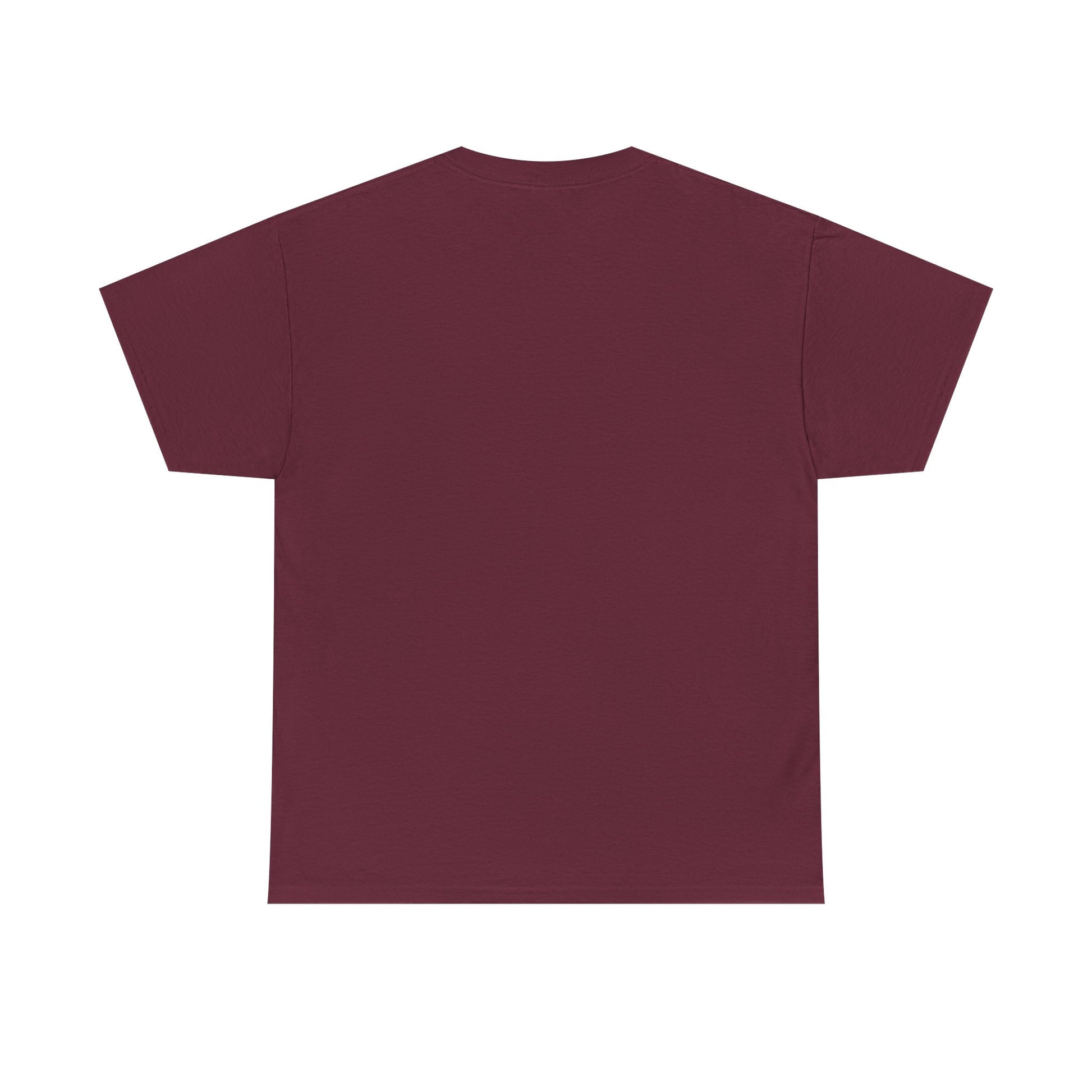 Unisex Heavy Cotton Tee - Paramount Pride Graphic Shirt, Casual Wear, Everyday Comfort Tee
